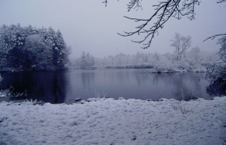dads-snow