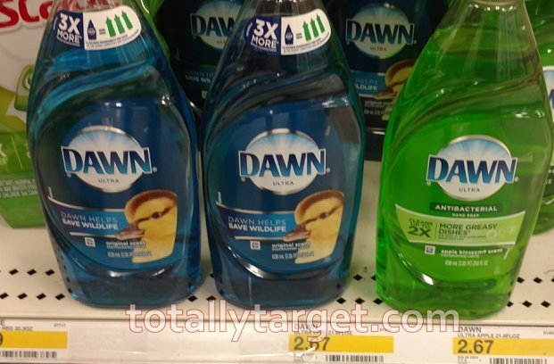 dawn3