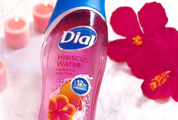$3 in New Dial Coupons + Nice Target Deals on Body Wash - TotallyTarget.com