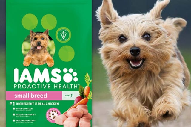 Iams Dry Dog Food New Rare High Value 3 1 Printable Coupon
