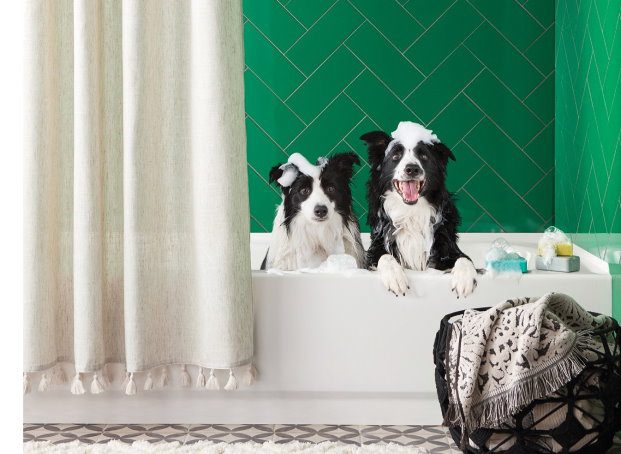 Two dogs in a bath tub advertising Target bedding and bath sale