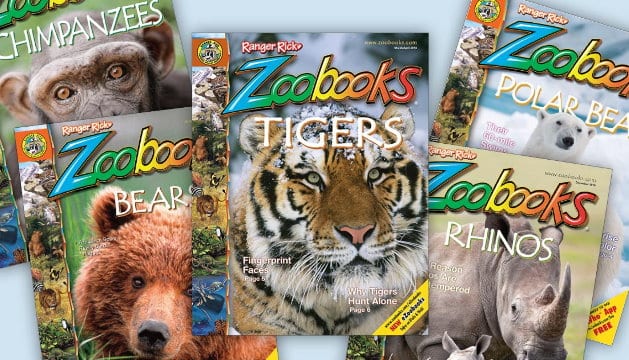 Zoobooks magazine covers
