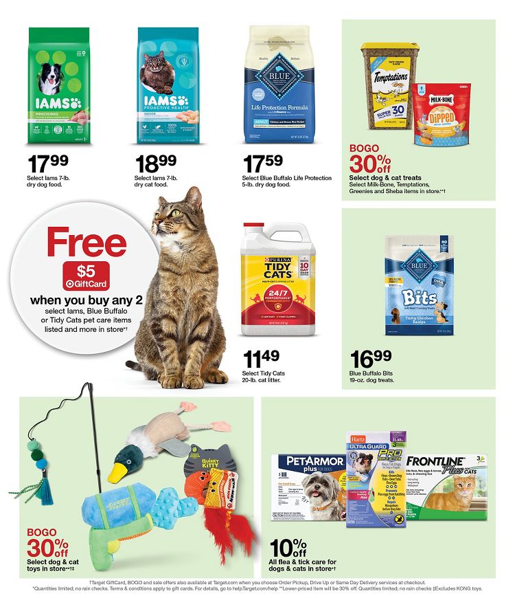 Page 24 of the 5-21 Target Store Flyer